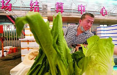 上海精準對接銷售云南扶貧農產品，微生物肥料助力農戶解燃眉之急